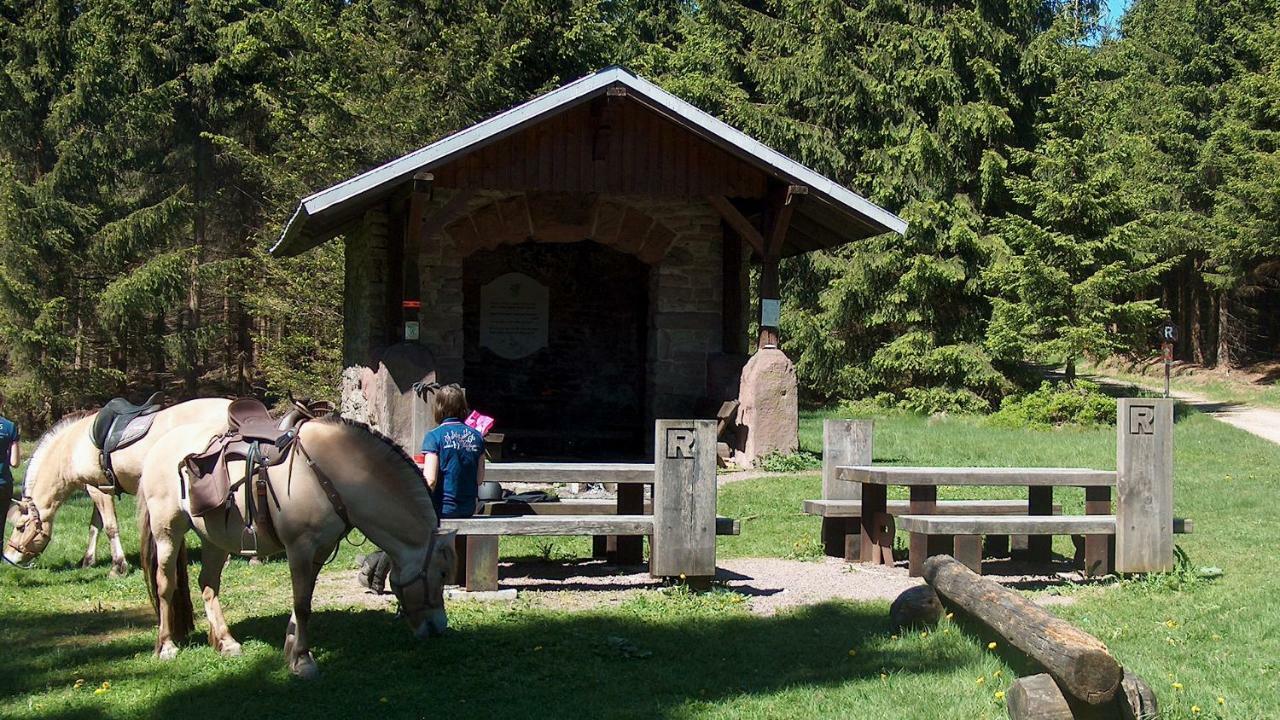 Ferienwohnung Trollmann Schmalkalden Extérieur photo